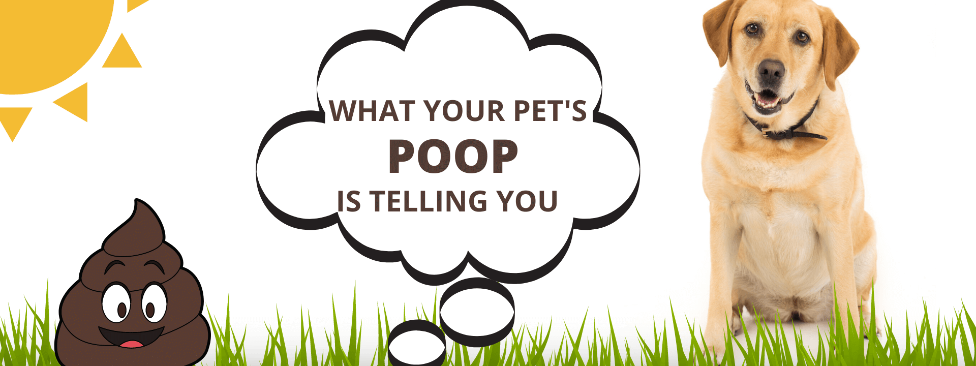 Pet Poop