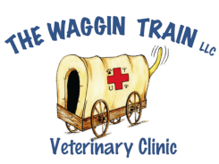 The Waggin' Train Veterinary Clinic